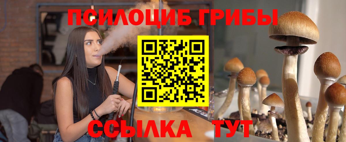 Лангепас  Псилоцибиновые грибы GOLDEN TEACHER  Вход с VPN 